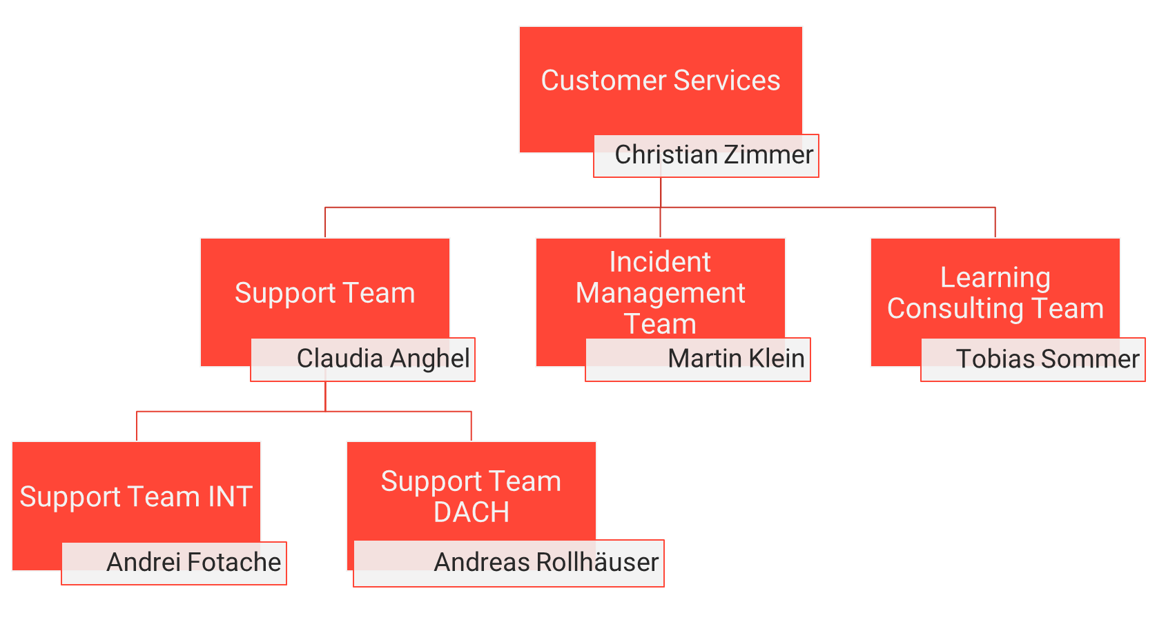 customer_service_team_organisation_structure.png
