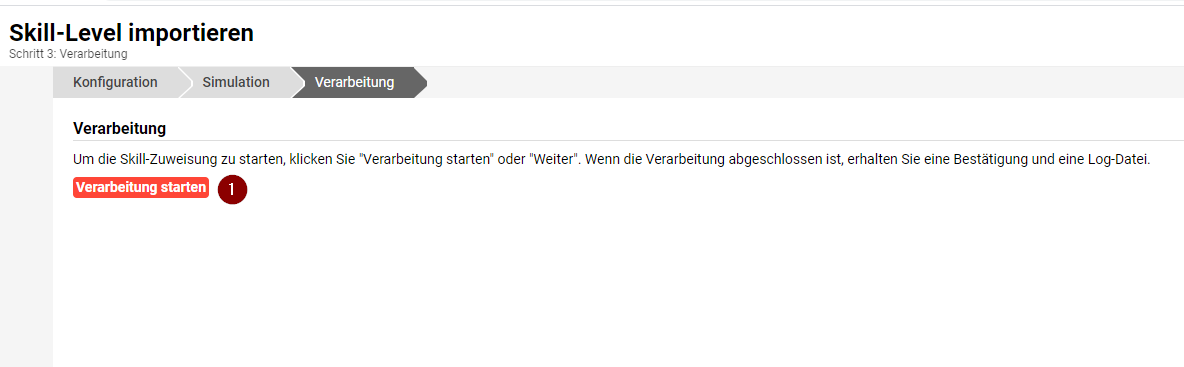 skill_zuweisungen_importieren_verarbeitung_starten.png